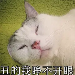 #喵星人大咪小乖##表情包#不行了不行了啊哈... 来自巧克力喵星人在东京打伞 - 微博