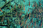 鬼斧神工：神奇的人间仙境九寨沟，http://www.levis501dk.com 这张图片让人有种珊瑚礁的错觉。