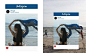 The 'Truth' Behind Those Amazing Instagram Pics. Can You Handle This?