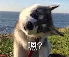 【图片】长期更新各种表情包_表情包吧_百度贴吧