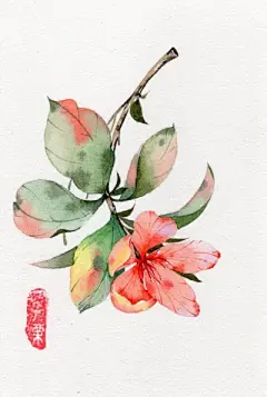 水彩---花卉 - 高清图片，堆糖，美图壁纸兴趣社区