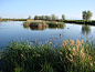 Larese-Casanova-pond-and-marsh