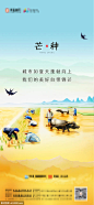 源文件下载  地产芒种海报  