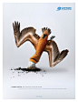Surfrider Foundation Print Ad - Snuffed Out Marine Life, 1 