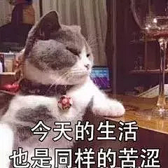 摆~采集到表情