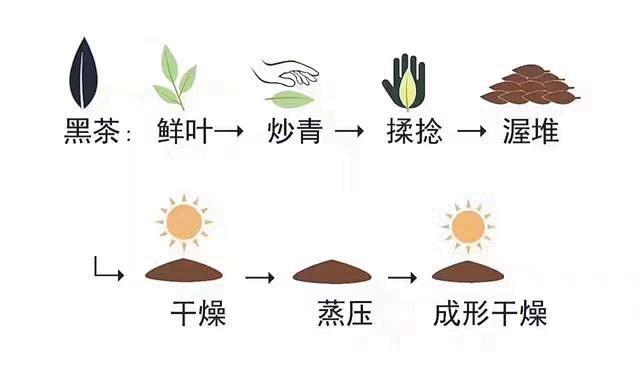 六大茶类制作技艺图册