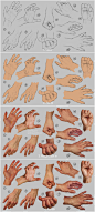 hand_study_2___steps...@CG硬克美术资源网采集到人体结构参考(72图)_花瓣插画