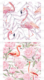 水彩插画手绘火烈鸟热带植物四方连续底纹jpg图片格式设计素材-淘宝网