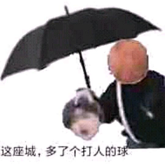 肥料我要金氪拉采集到坤坤