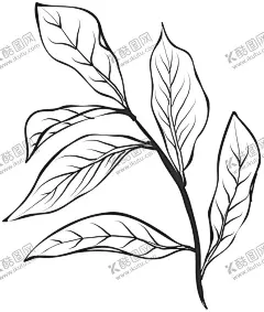 手绘植物花卉 【酷图网】手绘植物花卉,森系花枝,花卉花草,园林艺术,园艺,园林盆栽,园艺盆景,绿化盆景,森系花草,森系绿植,淡雅花枝,花草植物,橄榄枝,枝茎叶,植物,树枝,森系花卉,清新植物,花卉,花朵,植物景观,花藤,花叶,鲜花,花语,花艺,文艺风,花艺插花,手绘花朵,植物花草,花卉植物,彩绘花纹,欧式花纹,手绘花框