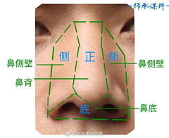 白鹿猿采集到素描人像结构