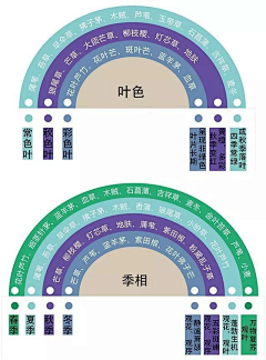 清歌佐酒233采集到植物