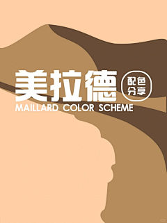 疏影~~采集到色彩搭配