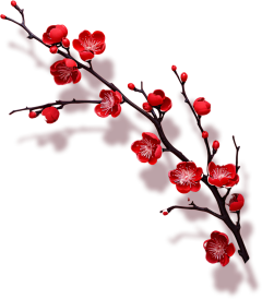 赛yoo~啦啦采集到PNG-花花草草·树叶