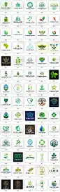 天然环保自然绿叶树木字母组合商标logo标志ai矢量平面设计素材图-淘宝网