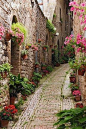 法國小鎮吉維尼－莫內花園，是印象派畫家莫內的故居。
這裏充滿詩情畫意，美如童話。 #美景##小鎮##街景#