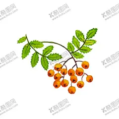 手绘植物 【酷图网】水彩植物,水彩花卉,彩色植物,卡通植物,清新植物,可爱植物,手绘植物,水彩风,清新,插图