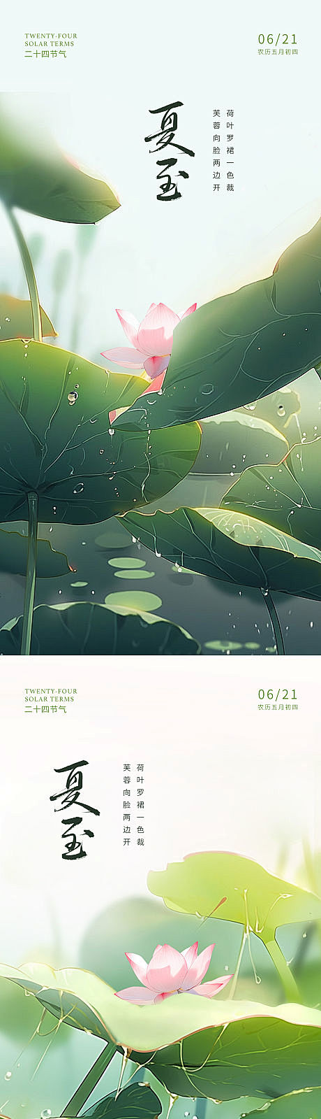 夏至荷花海报-源文件