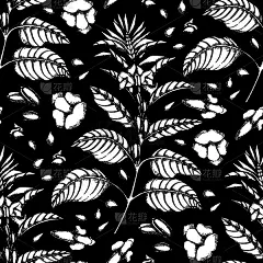 芝麻,式样,插画,生物学,农业,传统,香料,纺织品,食品,花