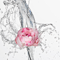 TONE - EMBRACE : A retouching job turned photo shoot.