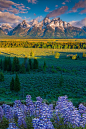 大提顿国家公园，怀俄明
Grand Teton National Park, Wyoming