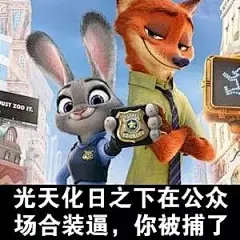 疯狂动物城表情包约吗？可爱的小姐，每天更新各种表情包