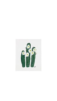丰子安2015采集到插画-果蔬-植物