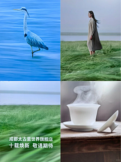 眼里有雾采集到地产