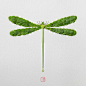 Seven Butterflies-花草昆虫-大自然的保护者---酷图编号1273470