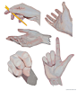 hand studies, Jiayue Wu : credit to senshistock for photos