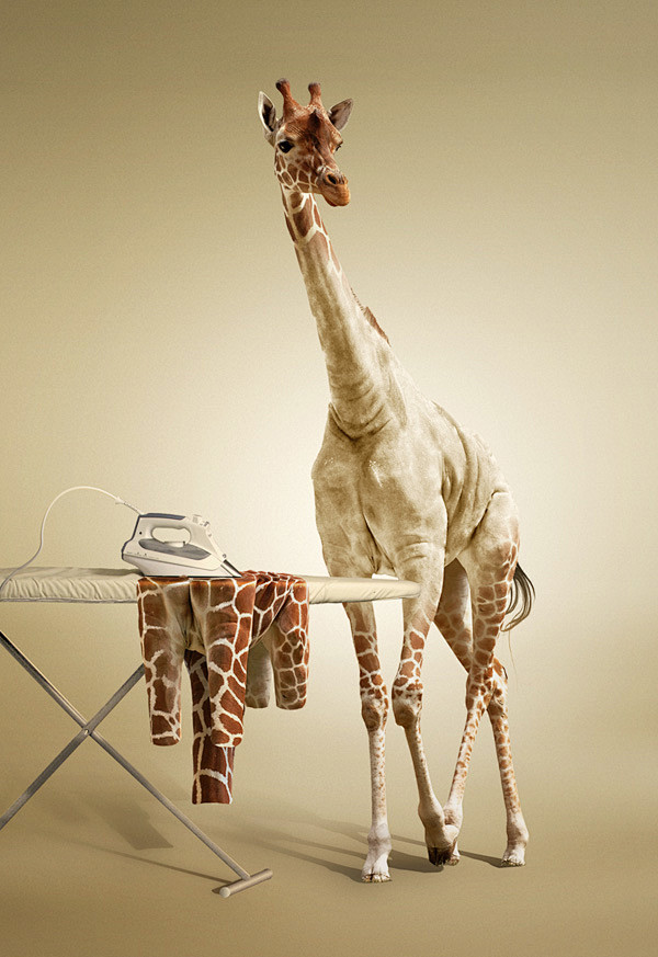 Undress a Giraffe in...