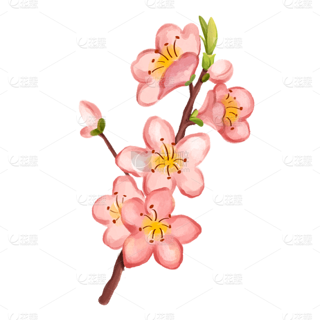 中国风-桃花花枝贴纸元素-桃花花枝
