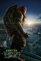 忍者神龟：变种时代 Teenage Mutant Ninja Turtles (2014)
导演: 乔纳森·里贝斯曼
主演: 梅根·福克斯 / 威尔·阿奈特 
类型: 喜剧 / 动作 / 科幻 / 冒险
上映日期: 2014-10-31(中国大陆) / 2014-08-03(纽约首映) / 2014-08-08(美国)
片长: 101分钟
IMDb链接: tt1291150