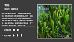 belltoy采集到常见多肉植物图鉴