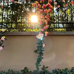 微信背景图 - 高清图片，堆糖，美图壁纸兴趣社区