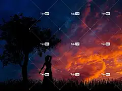 女士 轮廓 日落 草地 树 天空 云 黄昏 自然 贺卡