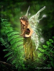 Fairies - They are a...