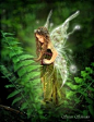 Fairies - They are all about us.
