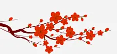 腊梅元素透明免抠素材_元小素 https://iipng.com 手绘 梅花 腊梅 花瓣