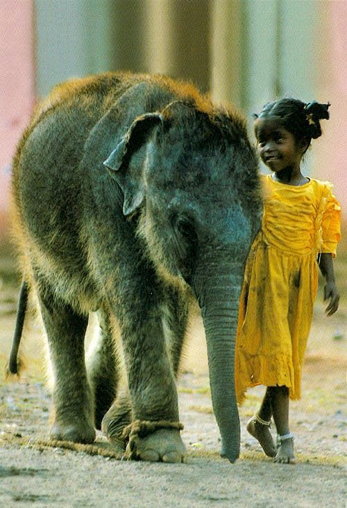 Indian Child with El...
