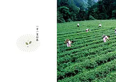 蒙顶山茶“皇茶又一坊”VI形象设计