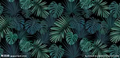 北欧手绘高清椰树树叶背景墙
