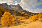 Photograph Autumn splendor by Matthieu Parmentier on 500px