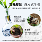 2%吲丁·萘乙酸快速生根粉树木盆栽多肉月季扦插移栽强力爆发生根-淘宝网