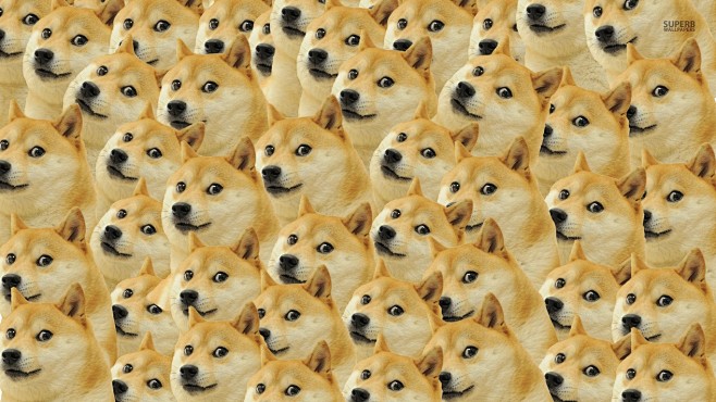 General 1366x768 dog...