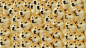 General 1366x768 doge memes face dog