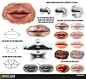 Lip Tutorial Resource by *ConceptCookie on deviantART