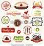 Set of vintage and modern farm logo labels and designs