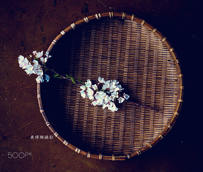 Blossoms Art 01 by W...