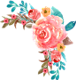 森系手绘插画植物素材